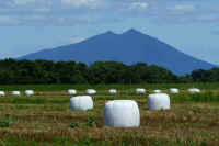 06-2019061706456-1.jpg (76937 �o�C�g)