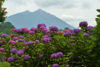 06-2020061800388-1.jpg (95843 バイト)