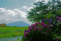 06-2020062001409-1.jpg (111736 �o�C�g)