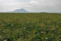 06-2025062801383-2-1.jpg (116076 バイト)