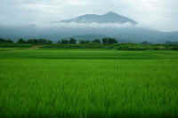 07-2016070800659.jpg (65706 �o�C�g)