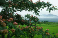 07-2016070800669.jpg (121118 �o�C�g)