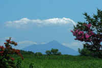 07-2016073001084-1.jpg (77231 バイト)