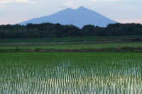 07-2018070401129-1.jpg (87774 �o�C�g)