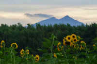 07-2018070401149.jpg (66799 �o�C�g)