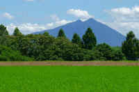 07-2019072607012-1.jpg (79813 �o�C�g)