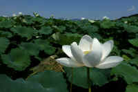 07-2023072503618-1.jpg (66656 �o�C�g)