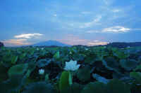 07-2024072008542-1-1.jpg (62554 �o�C�g)