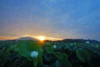 07-2024072008574-1.jpg (42317 バイト)