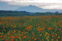 08-2013082901970-2.jpg (72545 バイト)