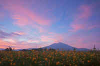 08-2013083002089-1.jpg (47591 �o�C�g)