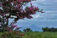 08-2015082405306-1.jpg (77324 �o�C�g)