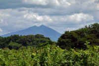 08-2023082104173-1.jpg (84358 �o�C�g)