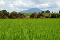 08-2023082104178-1-1.jpg (95629 �o�C�g)