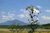 09-2012091416730.jpg (50115 �o�C�g)