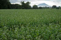 09-2012092904964-1.jpg (86998 バイト)