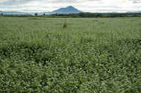 09-2012092905001-1.jpg (97609 �o�C�g)