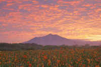 09-2013091002113.jpg (63497 �o�C�g)