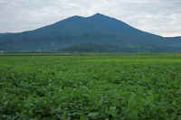 09-2013091002154-1.jpg (90037 バイト)