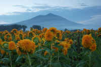 09-2014091208912-1.jpg (79319 �o�C�g)