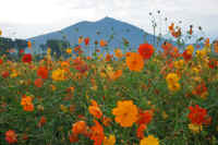 09-2014091309129-1.jpg (106901 バイト)