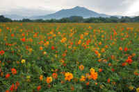 09-2014091309172-1.jpg (123975 �o�C�g)