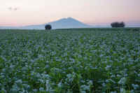 09-2014092309291-1.jpg (112189 �o�C�g)