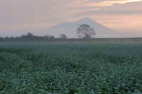 09-2014093009468-1.jpg (89873 バイト)