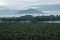 09-2015091105466-1.jpg (75253 �o�C�g)