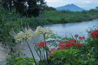 09-2015092005650-1.jpg (98805 バイト)