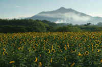 09-2016090901735-1.jpg (119625 �o�C�g)