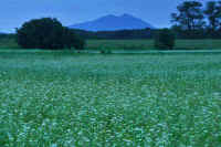 09-2016093001958-1.jpg (121048 バイト)