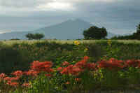 09-2016093001979-1.jpg (82776 �o�C�g)