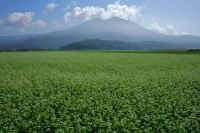 09-2018092801959.jpg (113674 バイト)