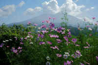 09-2018092801964-1-1.jpg (115829 �o�C�g)