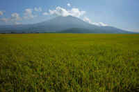 09-2018092801975-1.jpg (98539 �o�C�g)