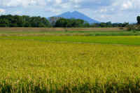 09-2018092802029-1.jpg (121067 �o�C�g)