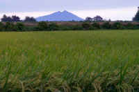 09-2019091807209-2.jpg (90597 バイト)