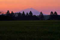 09-2019092707297-1.jpg (41517 �o�C�g)