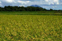 09-2022090609635.jpg (138257 �o�C�g)