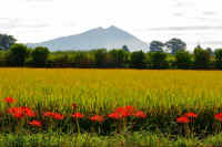 09-2023092904787-1-1.jpg (107859 �o�C�g)