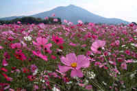 10-2003101825000p.jpg (108727 �o�C�g)