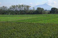 10-2012101502180.jpg (142827 �o�C�g)