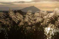 10-2013101802710-1.jpg (67574 �o�C�g)