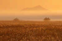 10-2014101809824-1.jpg (57548 バイト)