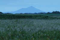 10-2016101002062-1.jpg (78118 �o�C�g)