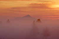 10-2016101202197-1.jpg (30973 �o�C�g)