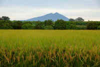 10-2022100800114-1.jpg (86450 �o�C�g)