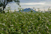 10-2022100800135-1.jpg (132799 �o�C�g)