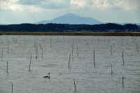 10-2022101100244-1.jpg (78448 バイト)